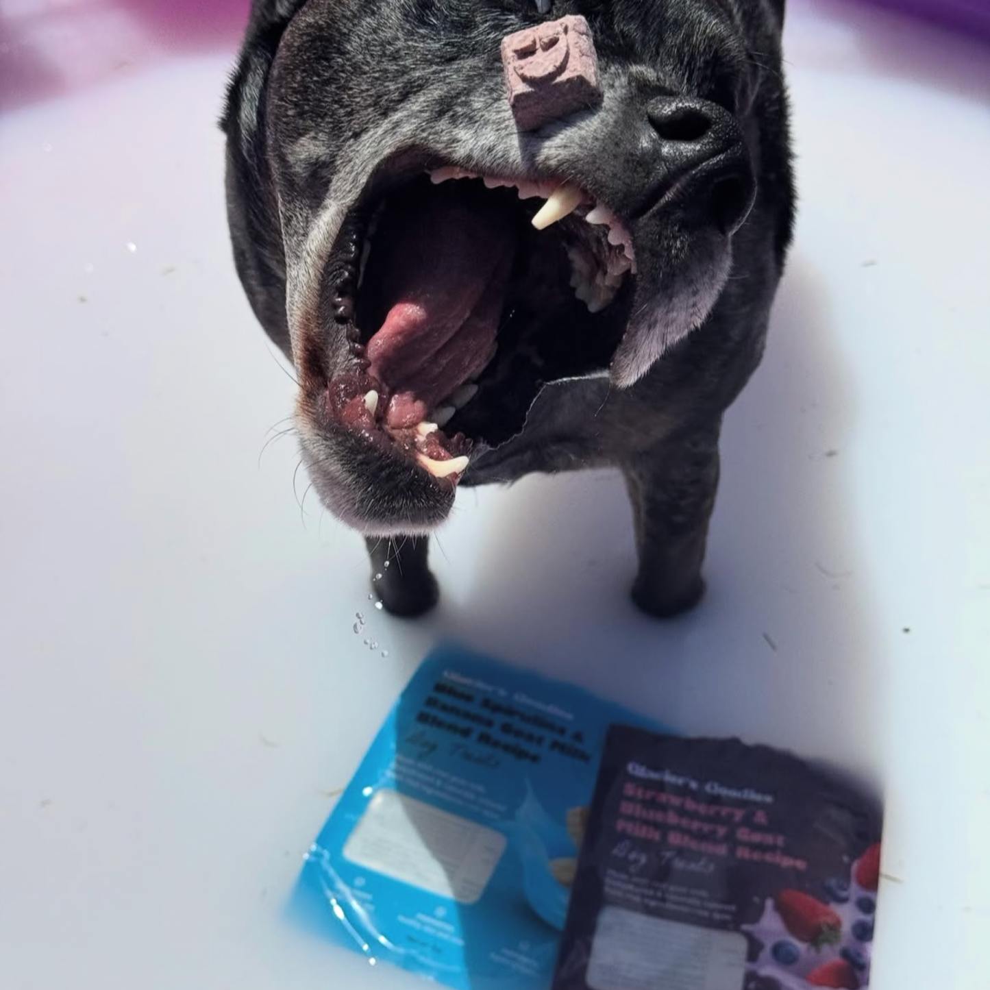 Goat Milk Dog Treats, Carob (7oz)