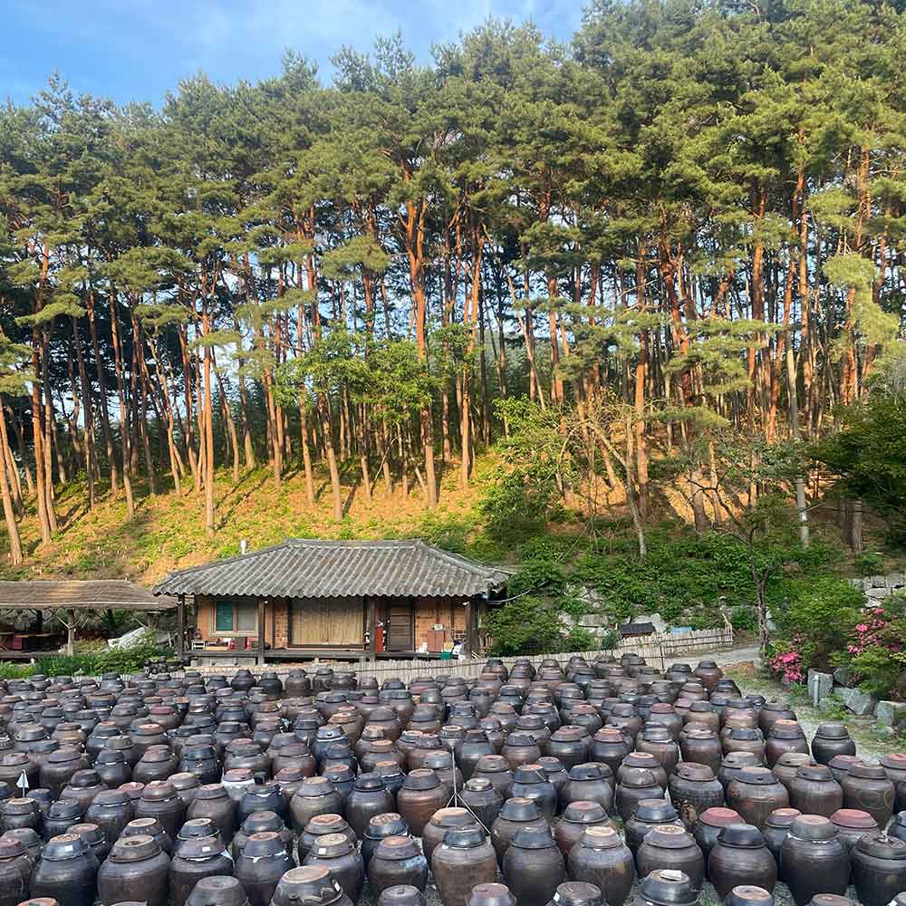 Traditional Ganjang (Korean Soy Sauce)