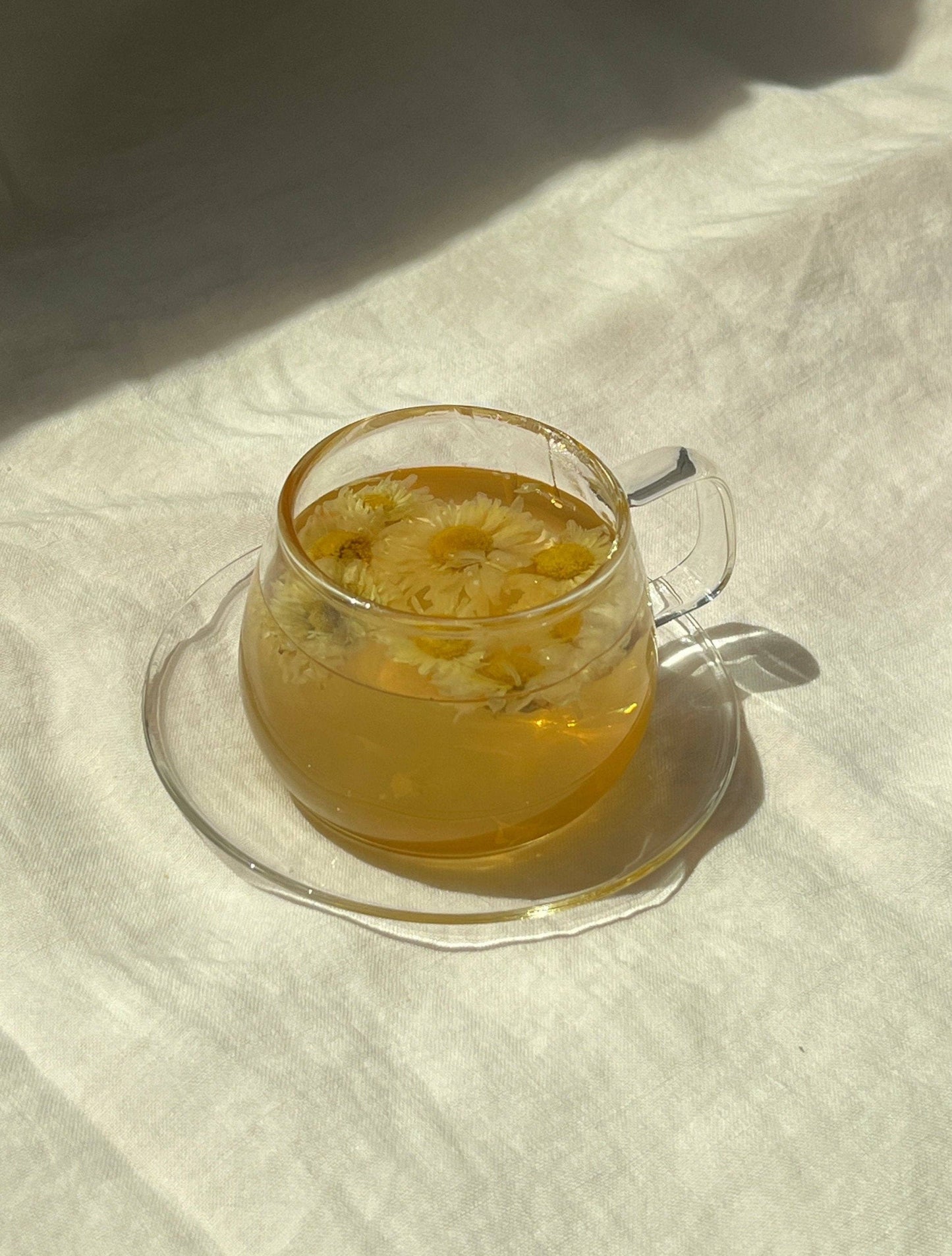 Wild Chrysanthemum Tea