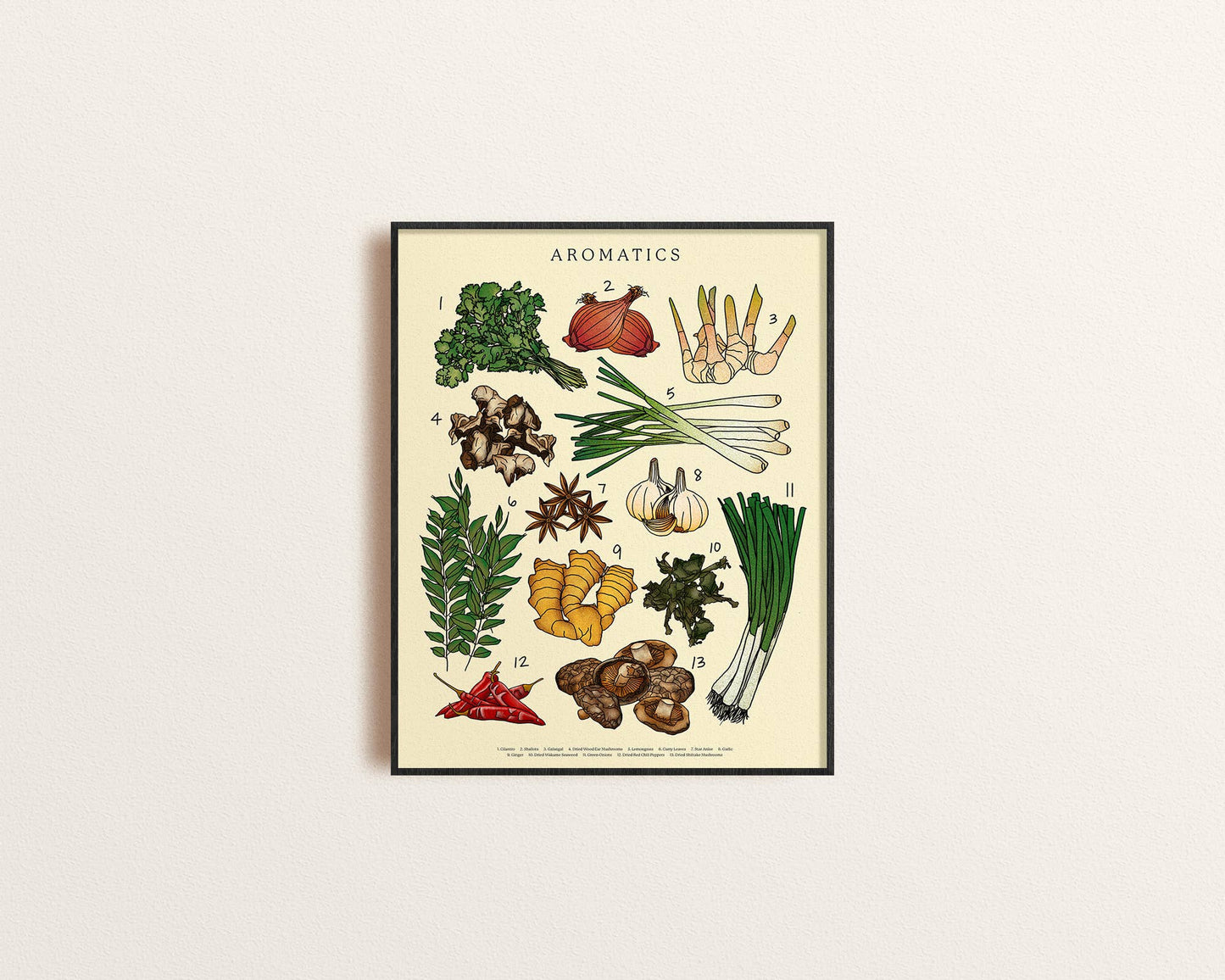 Aromatics Poster Print