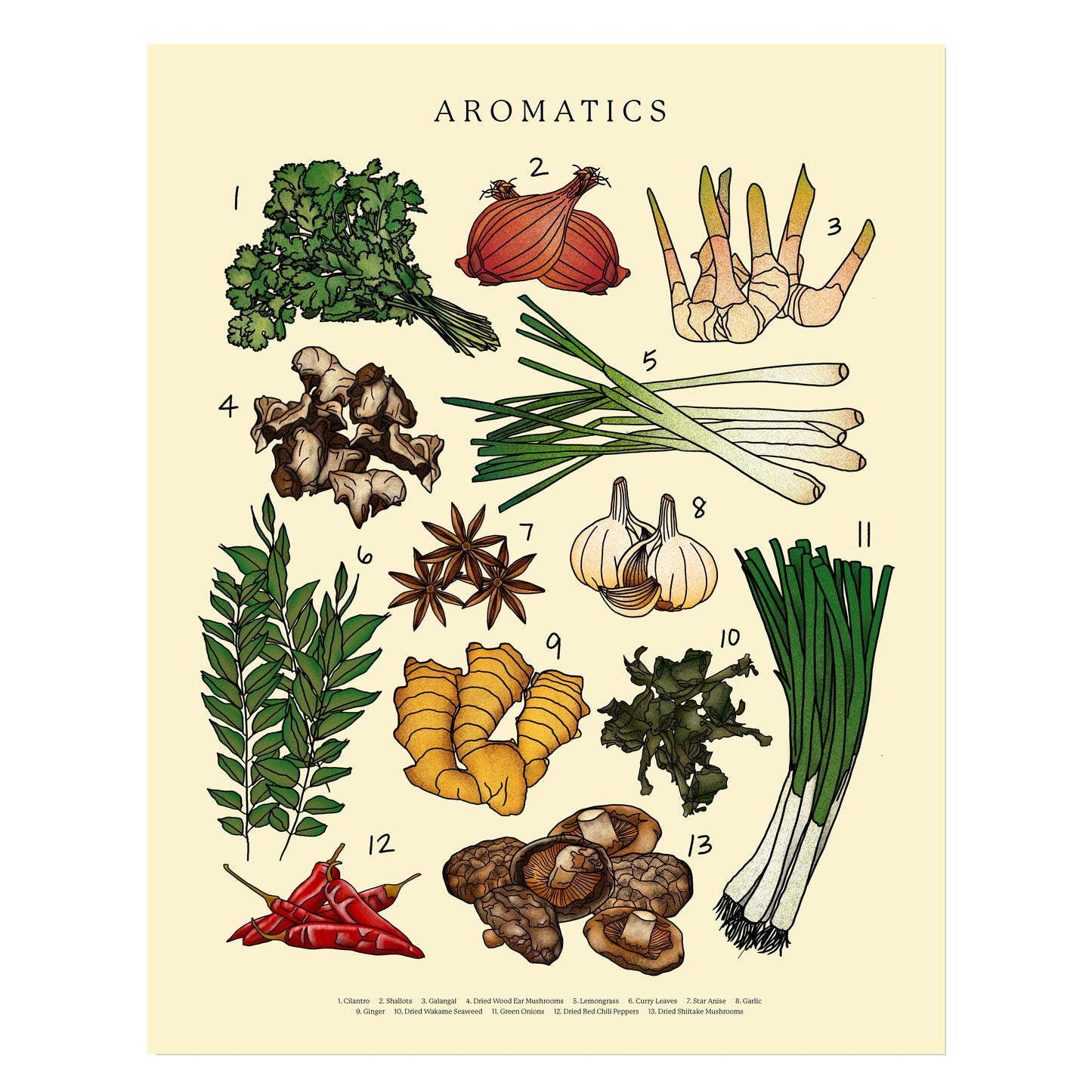 Aromatics Poster Print