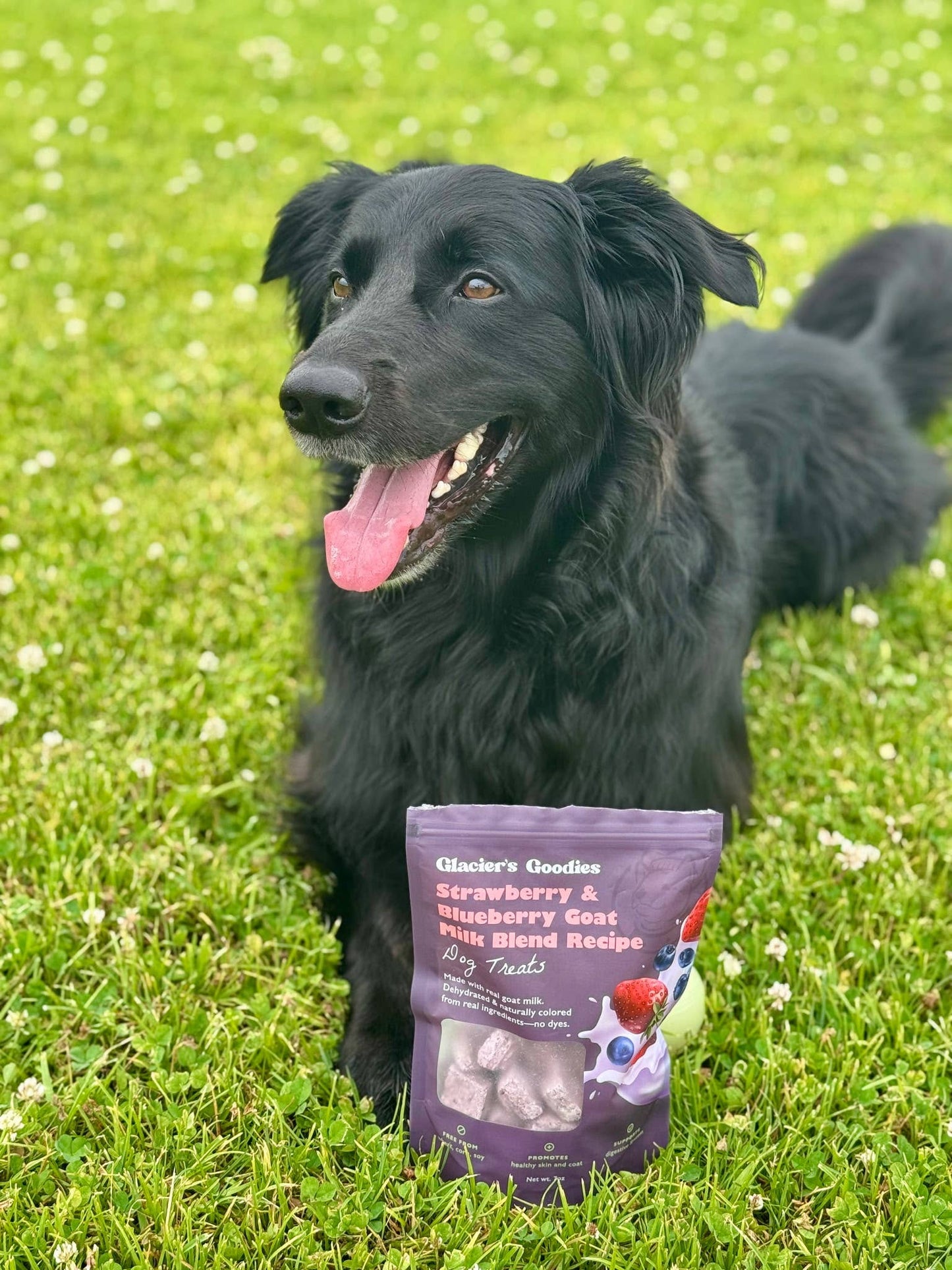 Goat Milk Dog Treats, Strawberry & Blueberry